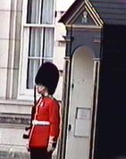 buckingham palace image