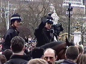 buckingham palace image