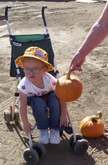 pumpkin stroller