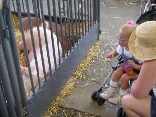 state fair