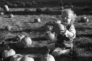 1030ipumpkin