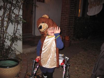 bear