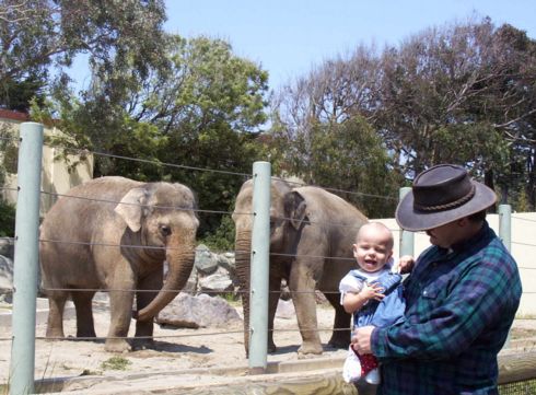 San Francisco Zoo image