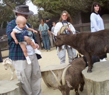 Children's zoo